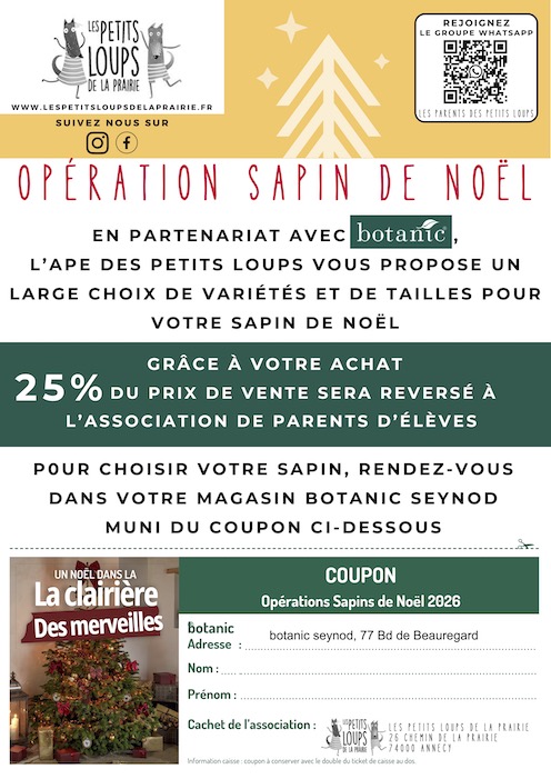 Sapins de Noël